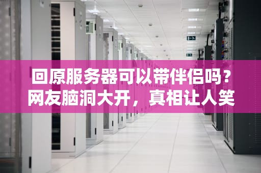 回原服务器可以带伴侣吗？网友脑洞大开，真相让人笑出腹肌！