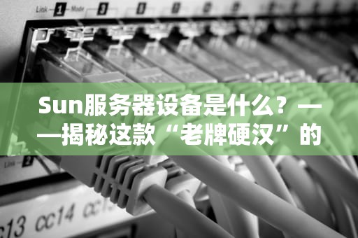 Sun服务器设备是什么？——揭秘这款“老牌硬汉”的传奇故事