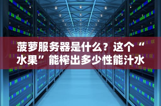 菠萝服务器是什么？这个“水果”能榨出多少性能汁水？