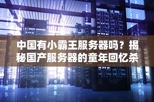 中国有小霸王服务器吗？揭秘国产服务器的童年回忆杀！