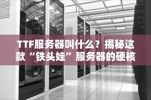 TTF服务器叫什么？揭秘这款“铁头娃”服务器的硬核实力！
