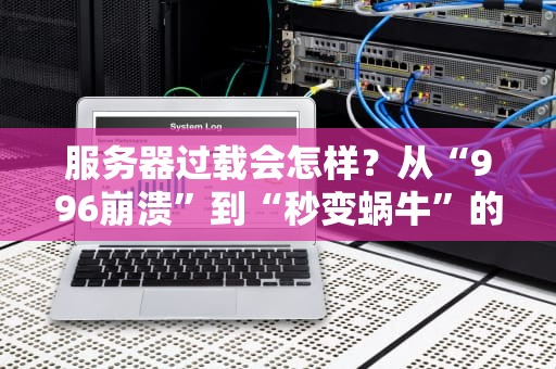 服务器过载会怎样？从“996崩溃”到“秒变蜗牛”的硬核科普！