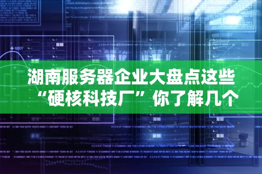 湖南服务器企业大盘点这些“硬核科技厂”你了解几个？