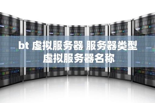 bt 虚拟服务器 服务器类型 虚拟服务器名称
