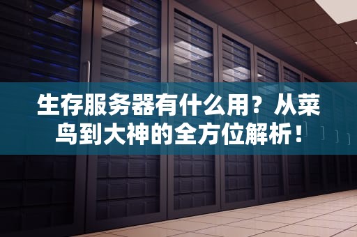 生存服务器有什么用？从菜鸟到大神的全方位解析！