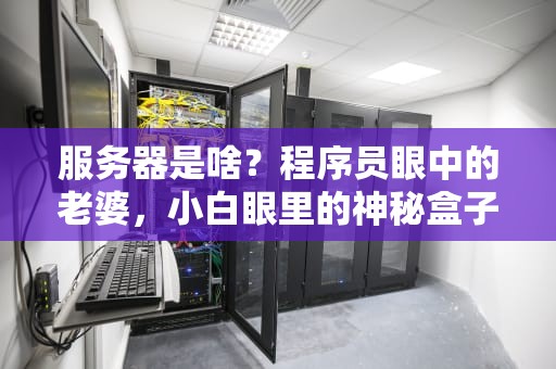 服务器是啥？程序员眼中的老婆，小白眼里的神秘盒子！