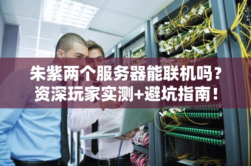 朱紫两个服务器能联机吗？资深玩家实测+避坑指南！