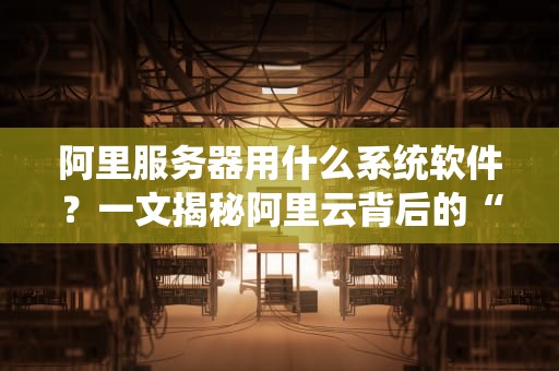 阿里服务器用什么系统软件？一文揭秘阿里云背后的“超级管家”