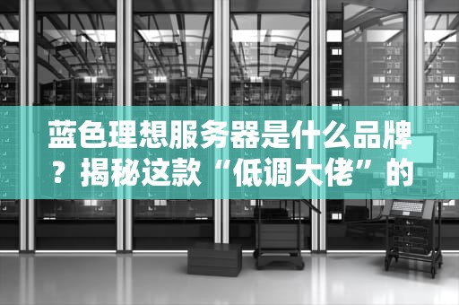 蓝色理想服务器是什么品牌？揭秘这款“低调大佬”的硬核实力！
