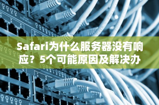 Safari为什么服务器没有响应？5个可能原因及解决办法，看完秒懂！