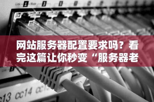 网站服务器配置要求吗？看完这篇让你秒变“服务器老司机”！