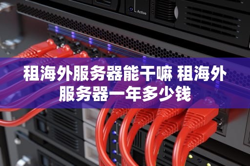 租海外服务器能干嘛 租海外服务器一年多少钱