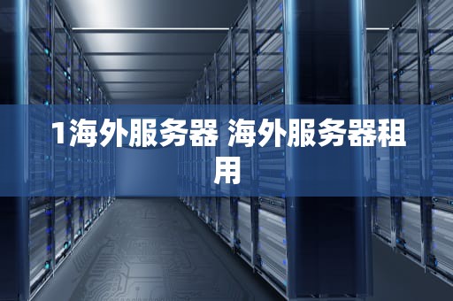1海外服务器 海外服务器租用