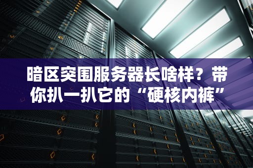 暗区突围服务器长啥样？带你扒一扒它的“硬核内裤”！（附专业测评）