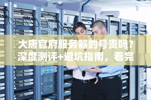 大唐官府服务器的号贵吗？深度测评+避坑指南，看完秒变老司机！
