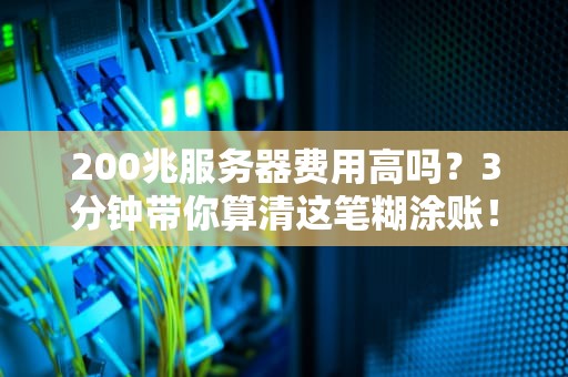 200兆服务器费用高吗？3分钟带你算清这笔糊涂账！