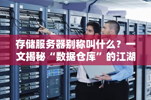 存储服务器别称叫什么？一文揭秘“数据仓库”的江湖绰号！