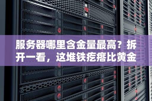 服务器哪里含金量最高？拆开一看，这堆铁疙瘩比黄金还值钱！