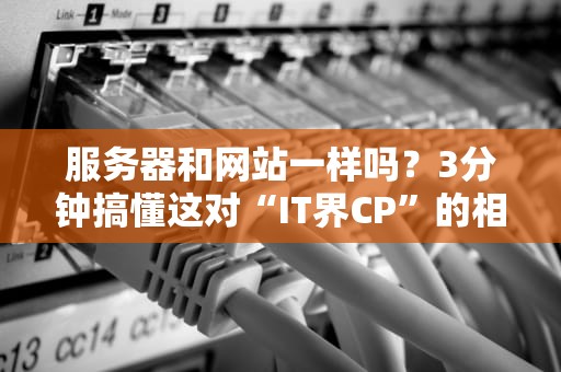 服务器和网站一样吗？3分钟搞懂这对“IT界CP”的相爱相杀！