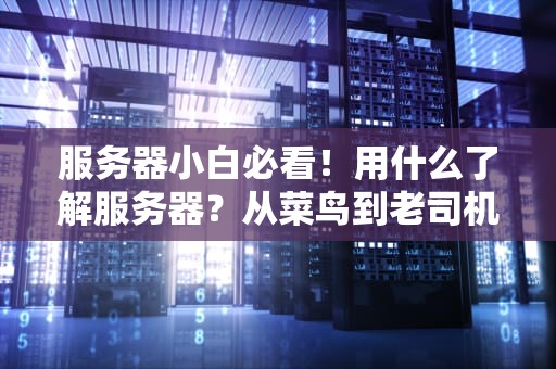 服务器小白必看！用什么了解服务器？从菜鸟到老司机的终极指南