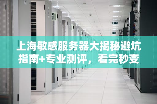 上海敏感服务器大揭秘避坑指南+专业测评，看完秒变老司机！