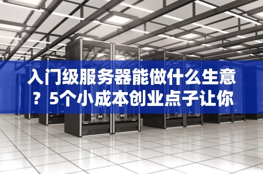 入门级服务器能做什么生意？5个小成本创业点子让你躺着赚钱！