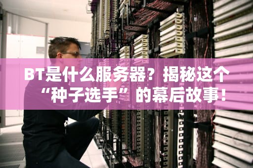 BT是什么服务器？揭秘这个“种子选手”的幕后故事！