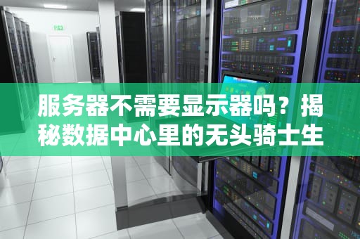 服务器不需要显示器吗？揭秘数据中心里的无头骑士生活