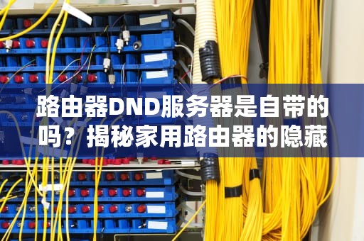路由器DND服务器是自带的吗？揭秘家用路由器的隐藏技能与骚操作！