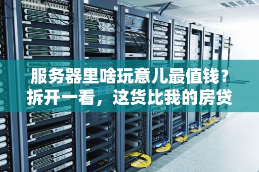 服务器里啥玩意儿最值钱？拆开一看，这货比我的房贷还贵！