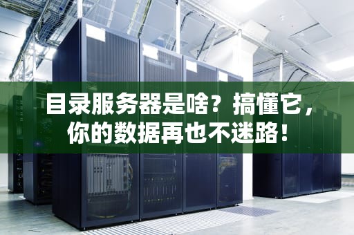 目录服务器是啥？搞懂它，你的数据再也不迷路！