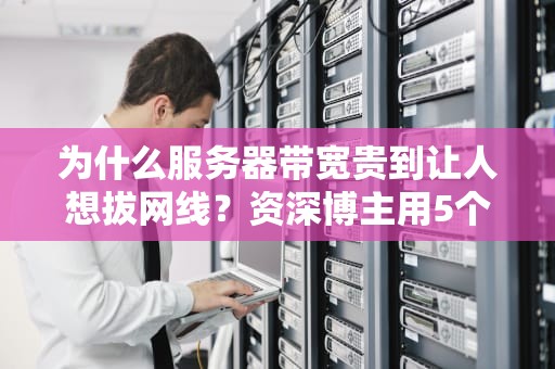 为什么服务器带宽贵到让人想拔网线？资深博主用5个真相给你算明白！