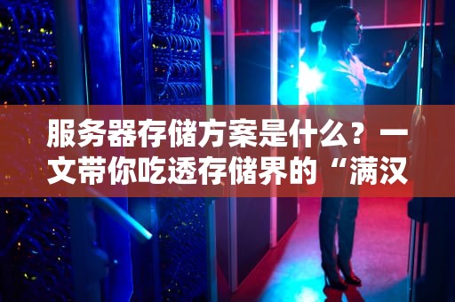 服务器存储方案是什么？一文带你吃透存储界的“满汉全席”！