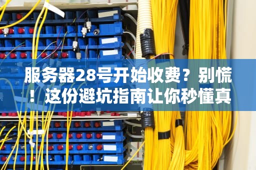 服务器28号开始收费？别慌！这份避坑指南让你秒懂真相