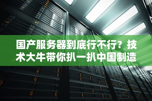 国产服务器到底行不行？技术大牛带你扒一扒中国制造的硬核实力！