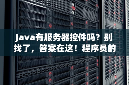 Java有服务器控件吗？别找了，答案在这！程序员的快乐你想象不到