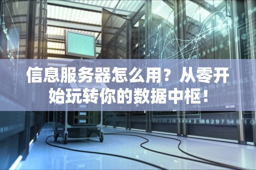 信息服务器怎么用？从零开始玩转你的数据中枢！
