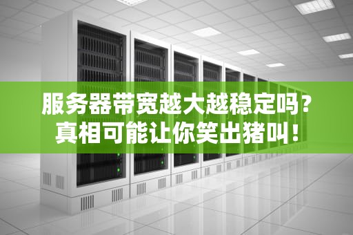 服务器带宽越大越稳定吗？真相可能让你笑出猪叫！