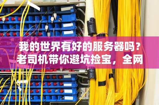 我的世界有好的服务器吗？老司机带你避坑捡宝，全网最走心测评！