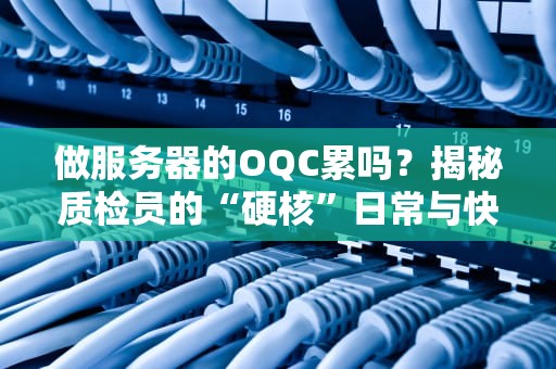 做服务器的OQC累吗？揭秘质检员的“硬核”日常与快乐哲学