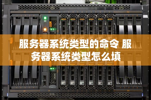 服务器系统类型的命令 服务器系统类型怎么填
