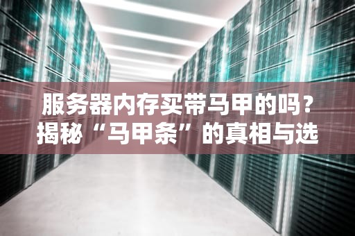 服务器内存买带马甲的吗？揭秘“马甲条”的真相与选购指南！