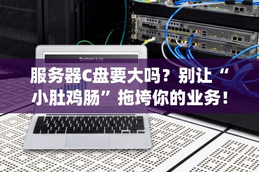服务器C盘要大吗？别让“小肚鸡肠”拖垮你的业务！(附专业避坑指南)
