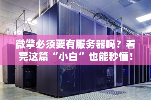 微擎必须要有服务器吗？看完这篇“小白”也能秒懂！