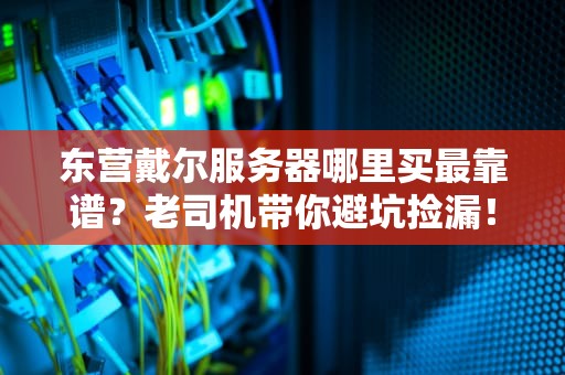 东营戴尔服务器哪里买最靠谱？老司机带你避坑捡漏！