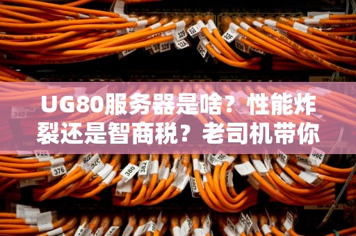 UG80服务器是啥？性能炸裂还是智商税？老司机带你扒光它的底裤！