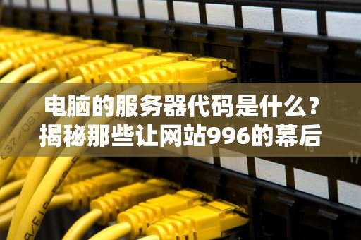 电脑的服务器代码是什么？揭秘那些让网站996的幕后英雄！