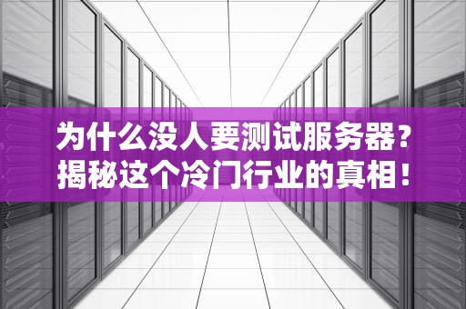 为什么没人要测试服务器？揭秘这个冷门行业的真相！
