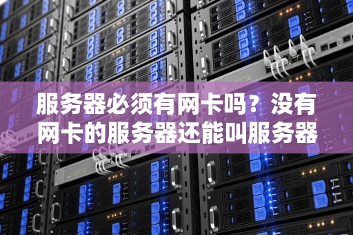服务器必须有网卡吗？没有网卡的服务器还能叫服务器？真相笑skr人！