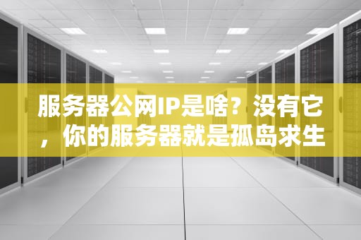 服务器公网IP是啥？没有它，你的服务器就是孤岛求生！